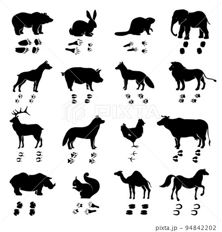 Animals Silhouettes And Tracks Set 94842202