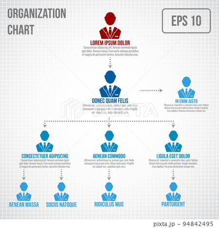 Organizational chart infographic 94842495