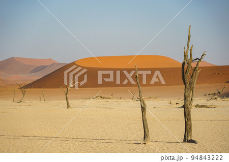 デッドフレイ 94843222