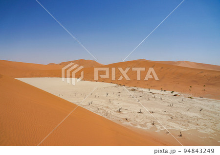 デッドフレイ 94843249