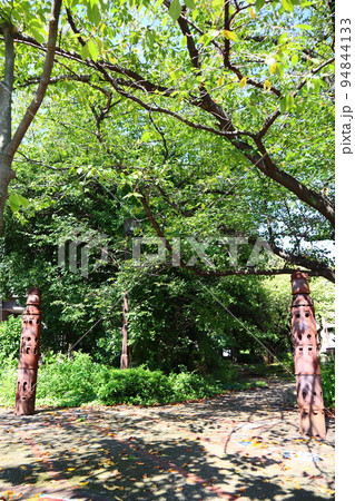 横浜市営地下鉄ブルーライン 新羽駅近くの新田緑道 94844133