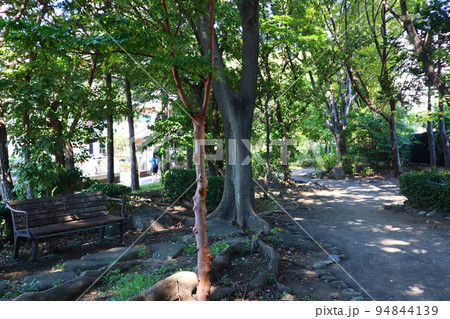 横浜市営地下鉄ブルーライン 新羽駅近くの新田緑道 横浜市営地下鉄ブルーライン 新羽駅近くの新田緑道 94844139