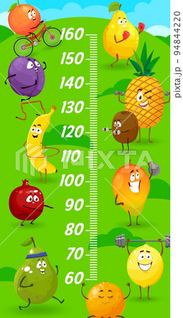 Kids height chart fruits in sport competition and fitness growth measure meter meter. Vector orange, quince, pineapple and kiwi. Mango, lemon or mandarin with pear, garnet, banana, and plum sportsmen Kids height chart fruits in sport competition and fitness growth measure meter meter. Vector orange, quince, pineapple and kiwi. Mango, lemon or mandarin with pear, garnet, banana, and plum sportsmen 94844220