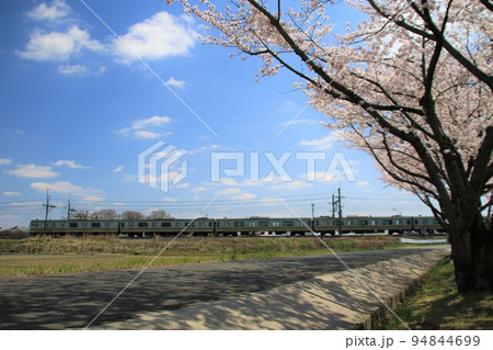 満開の桜の向こうに宇都宮線の電車の走る春の風景 94844699