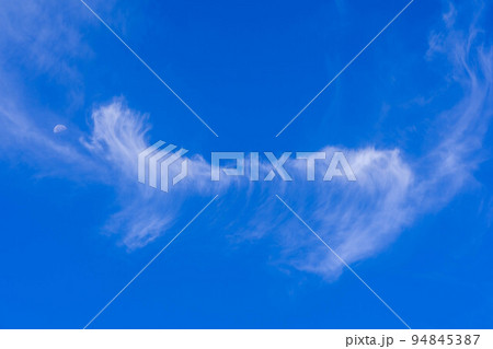 爽やかな秋の空～月を食べる猫～ 94845387