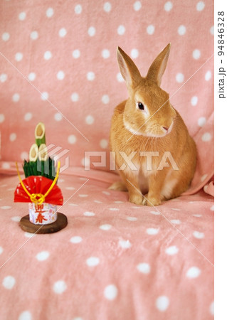 うさぎと門松 94846328