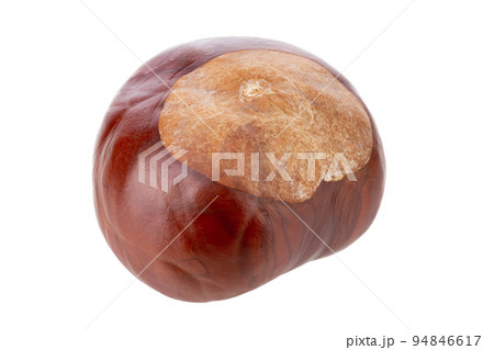 Horse chestnut isolated on white background. 94846617