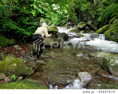 フライフィッシングで雨降る中の源流を釣り遡る 94847614