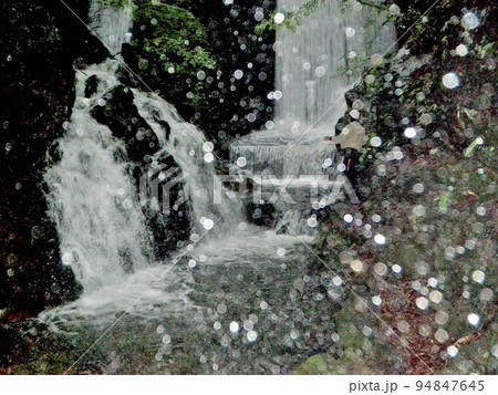 フライフィッシングで雨降る中の源流を釣り遡る 94847645