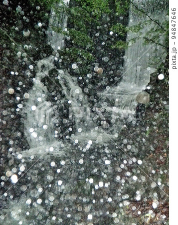フライフィッシングで雨降る中の源流を釣り遡る フライフィッシングで雨降る中の源流を釣り遡る 94847646