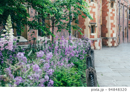 St Johns College Cambridge city centre 94848320