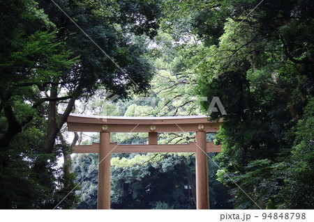 緑の樹々の森の中に大きな木製の鳥居の見える風景の写真素材 [94848798] - PIXTA