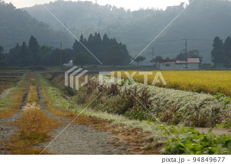 秋の長閑な風景 秋の長閑な風景 94849677