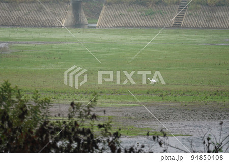 沼地の風景 94850408