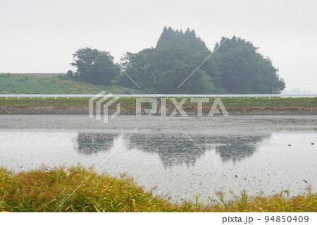沼地の風景 94850409