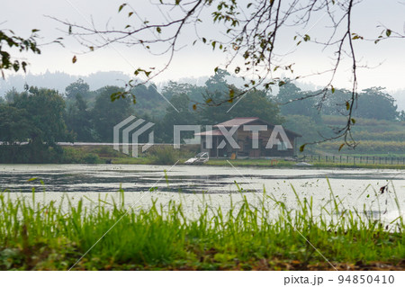 沼地の風景 沼地の風景 94850410