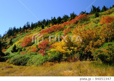 秋の吾妻山 秋の吾妻山 94851347