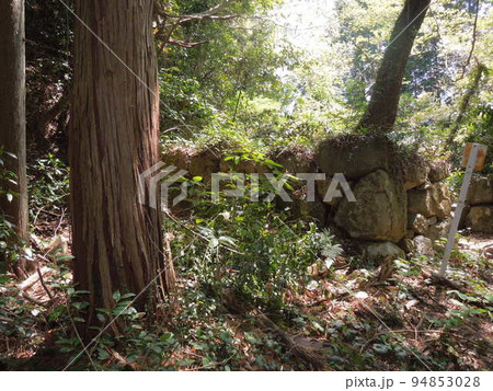近江国「観音寺城」曲輪と石垣・眺望 94853028