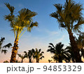マジックアワーとヤシの木 94853329
