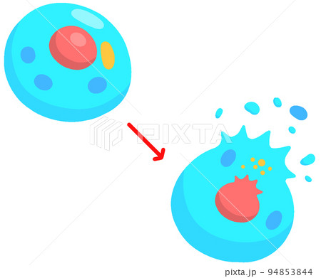 ネクローシス ネクローシス 94853844