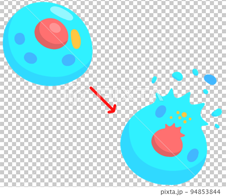 ネクローシス ネクローシス 94853844