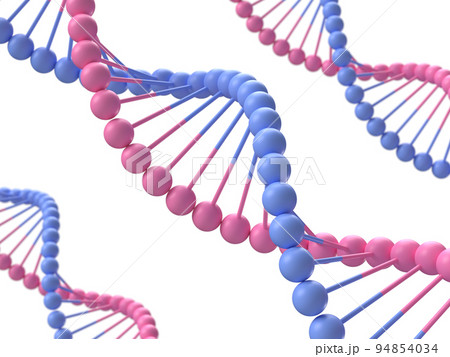 DNAの二重螺旋構造の3Dイラストレーション 94854034