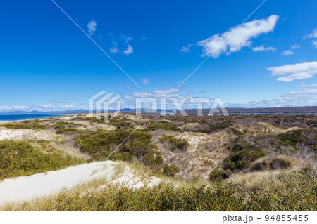 Peron Dunes in Akaroa Tasmania Australia 94855455