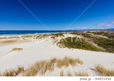 Peron Dunes in Akaroa Tasmania Australia 94855458