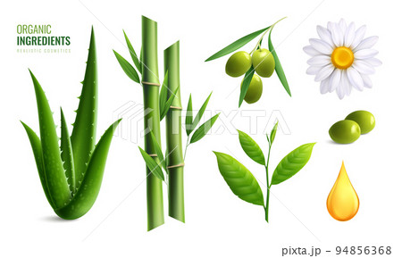 Colored Realistic Organic Cosmetics Ingredients Icon Set 94856368