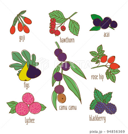 Colored Hand Drawn Botanical Food Set 94856369