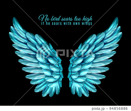 Color Bird Wing Background 94856886