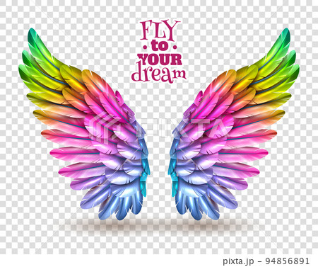 Color Wing Transparent Set Color Wing Transparent Set 94856891