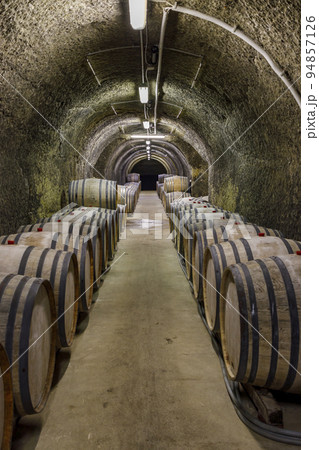 Wine cellars with barrels, traditional wine called Bikaver near Eger, Hungary Wine cellars with barrels, traditional wine called Bikaver near Eger, Hungary 94857126