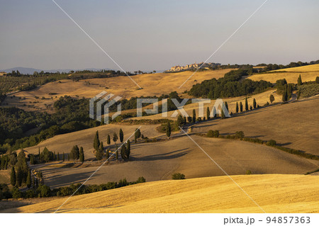 Cipressi di Monticchielo, Typical Tuscan landscape near Montepulciano, Italy 94857363