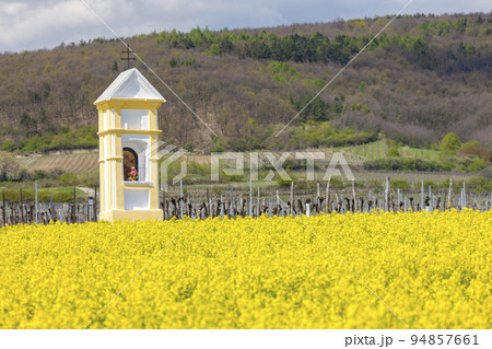 Gods torture near Retz, Austria Gods torture near Retz, Austria 94857661