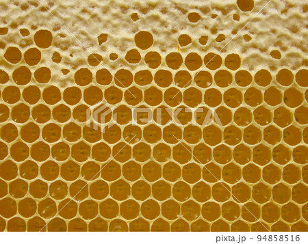 Honeycombs with honey. Natural background. Nectar Apiculture Honeycombs with honey. Natural background. Nectar Apiculture 94858516