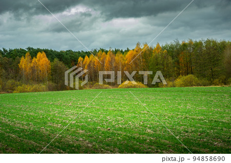 Cloudy sky over the autumn forest and a winter field 94858690