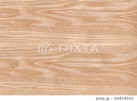 イメージ 94858950