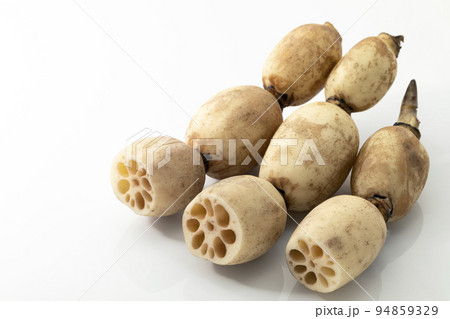 白バックの蓮根 94859329