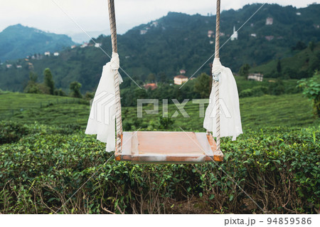 swing with white scarfs in front of rows of Turkish black tea plantations in Cayeli area swing with white scarfs in front of rows of Turkish black tea plantations in Cayeli area 94859586