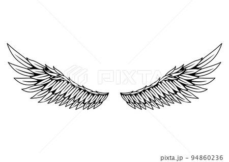 Vintage heraldic wings sketch. Monochrome stylized birds wings. Hand drawn contoured stiker wing in open position. Design elements in coloring style 94860236