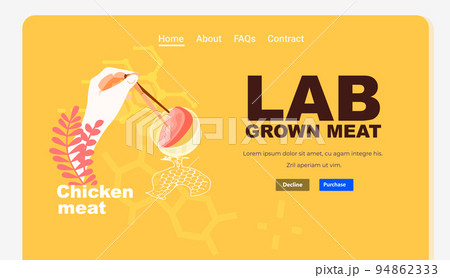 scientist hands analyzing dna of cultured red raw chicken meat made from animal cells artificial lab grown meat production scientist hands analyzing dna of cultured red raw chicken meat made from animal cells artificial lab grown meat production 94862333