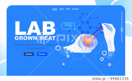 scientist hand analyzing dna of cultured meat made from animal cells artificial lab grown meat production concept 94862336