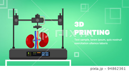 kidneys model prints on 3d bio printer medical printing of human transplantation organ biological engineering bioprinting kidneys model prints on 3d bio printer medical printing of human transplantation organ biological engineering bioprinting 94862361