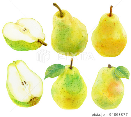 水彩洋梨の素材集 水彩洋梨の素材集 94863377