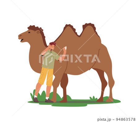 Zoologist Male Character Listen Heart Of Camel With Stethoscope. Veterinarian Doctor Care and Observe Animals 94863578