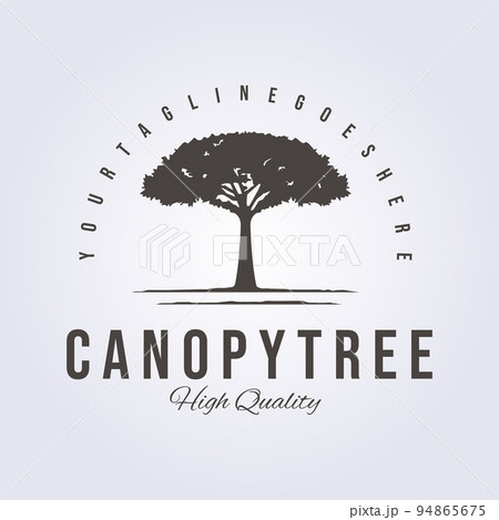 Canopy tree service retro style logo vintage classic vector illustration design Canopy tree service retro style logo vintage classic vector illustration design 94865675