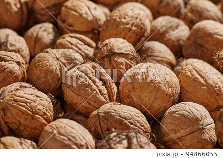 Walnuts in a pile Walnuts in a pile 94866055
