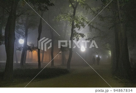 風景 夜明け 霧 94867834