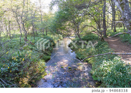 光徳沼付近の逆川(日光国立公園) 光徳沼付近の逆川(日光国立公園) 94868338